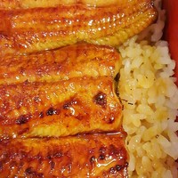 満寿家 - うなぎはふっくら。ごはんもいい炊き加減。