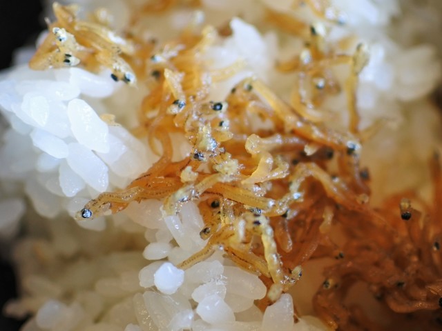 Teuchi Soba Dokoro Saka photo 5