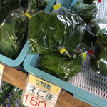 八紘学園 農産物直売所 - 【2017年07月】えごま、悩んだけど今回は見送り('ω')。