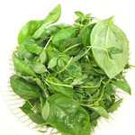 八紘学園 農産物直売所 - 【2017年07月】バジルを洗って茎を取って準備。