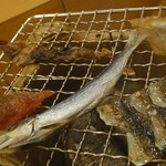 Creative cookery Kawamichi - ■魚と肴七輪セット1500円■