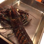 ビストロ ダイア - 