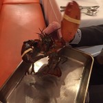 ビストロ ダイア - 