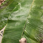 インドカレー クシ - 