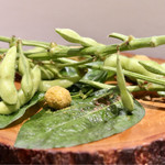 メゾン ルパン ミュラ - 枝豆のニョッキ