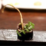 メゾン ルパン ミュラ - うなぎ、中に夏ごぼう、上にごぼうのピュレのソース、実山椒、木の芽、うなぎの骨に見立てたごぼうのフリット