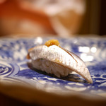 鮨 さいとう - 鰯（気仙沼）