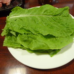 宮崎牛第一号指定店 焼肉の幸加園 - サンチュ