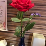 Komenohana - 卓上に薔薇の花。
