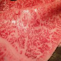 すき焼割烹 日山 - 肉のアップ