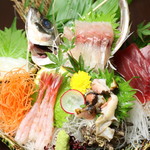 Assortment of 5 sashimi selection