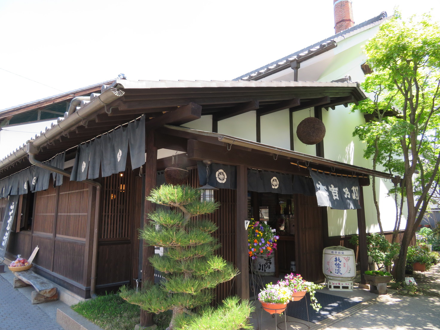 松葉屋本店 name=
