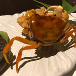 旬彩美酒 ちどり - 