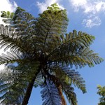 川平ファーム - 