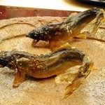 銀座 小十 - 若鮎の炭火焼き
