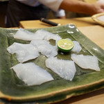 初音鮨 - アオリイカ