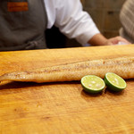 初音鮨 - 天然鰻 琵琶湖 2kg