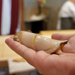 初音鮨 - 黒鮑 大原