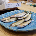 初音鮨 - 天然鮎 広島 太田川