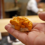 初音鮨 - バフンウニ 礼文島