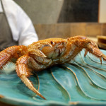 初音鮨 - 毛蟹 噴火湾