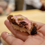 初音鮨 - 本鮪 境港 トロのヅケの炙り