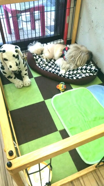 ポケットカフェ Poket Cafe 東中野 カフェ 食べログ ポケットカフェ Poket Cafe 東中野 カフェ 食べログ