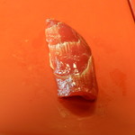 魚正 - ホンマグロ赤身