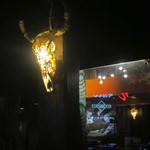 Crazy Cowboy - 夜の Crazy Cowboy