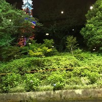 和食 清水 - 