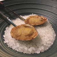 セルサルサーレ - 