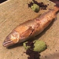 セルサルサーレ - 