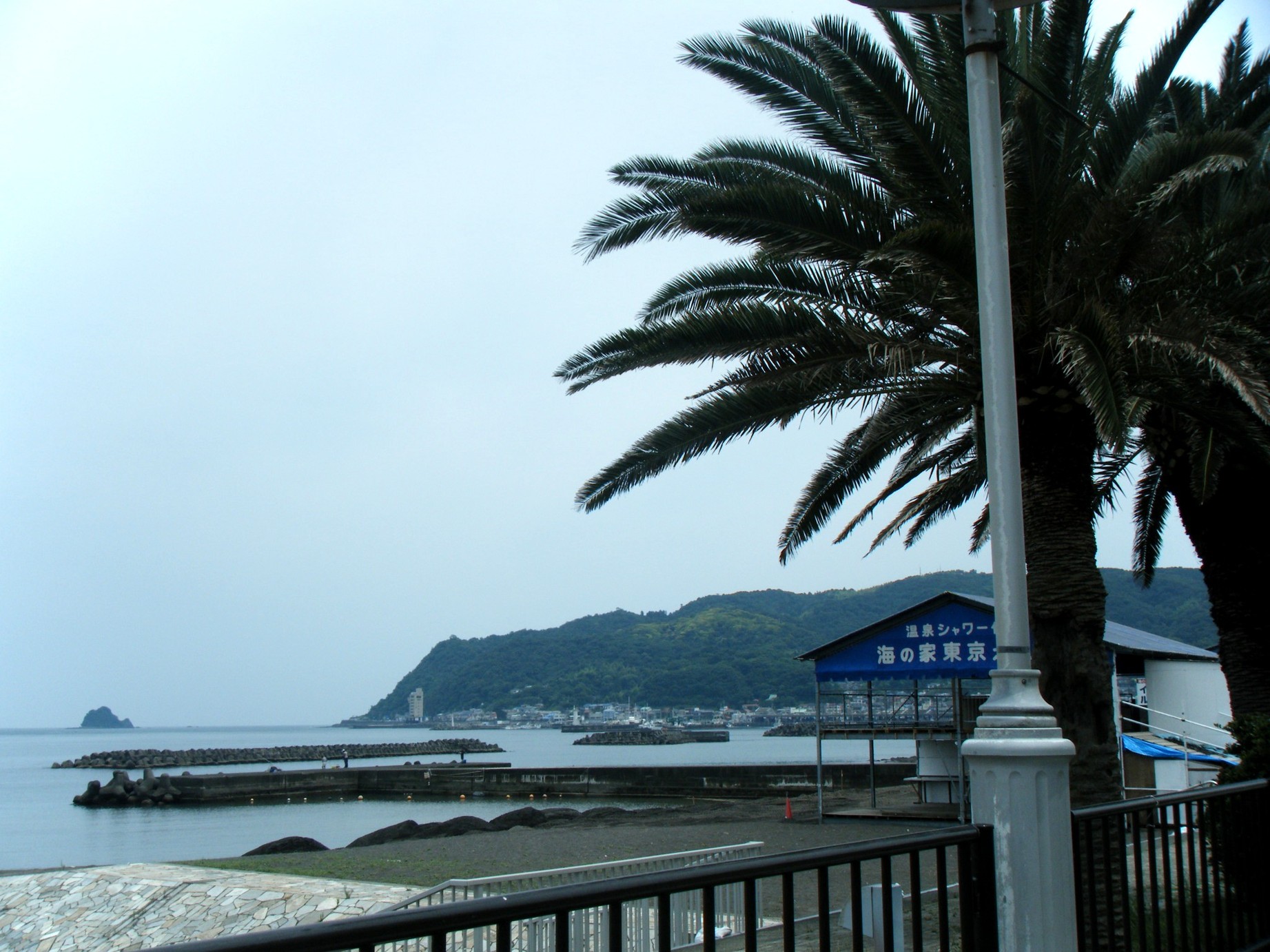 日吉干魚店 name=