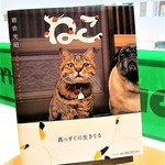 コメダ珈琲店 - 