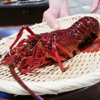 ビフテキのカワムラ 六本木店 - 