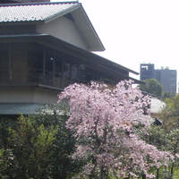 錦水 - 