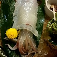 いけす鶴八 新栄店 - イカ刺