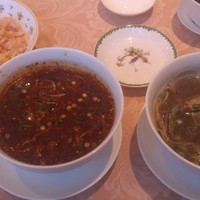 トゥーランドット 臥龍居  - 