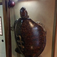 竹乃家 - 個室入口の亀！