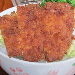 長老亭天戸茶屋 - ミニソースカツ丼、カツ丼アップ