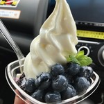 ハッピーベリー - 【フレッシュブルーベリーパフェ…580円税抜】★2017/7