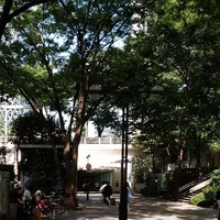 麓屋 京王プラザホテル - 
