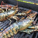 Kona Cold Lobsters - 