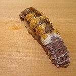 寿司 竹本 - 蝦蛄(小樽)