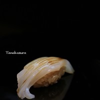 鮨 一條 - 白いか
