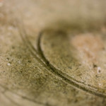 うを徳 - 魯山人（ろさんじん）の皿（さら）