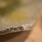 うを徳 - 魯山人（ろさんじん）の皿（さら）