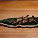 日本料理 幸庵 - 鮎の炭火焼き