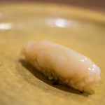 うを徳 - 新烏賊（しんいか）