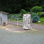 御食事処自家製手打うどん山小屋 - 